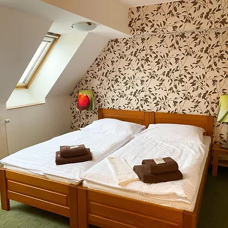 Hotel Koruna 3*