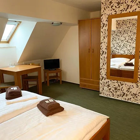 Hotel Koruna 3*